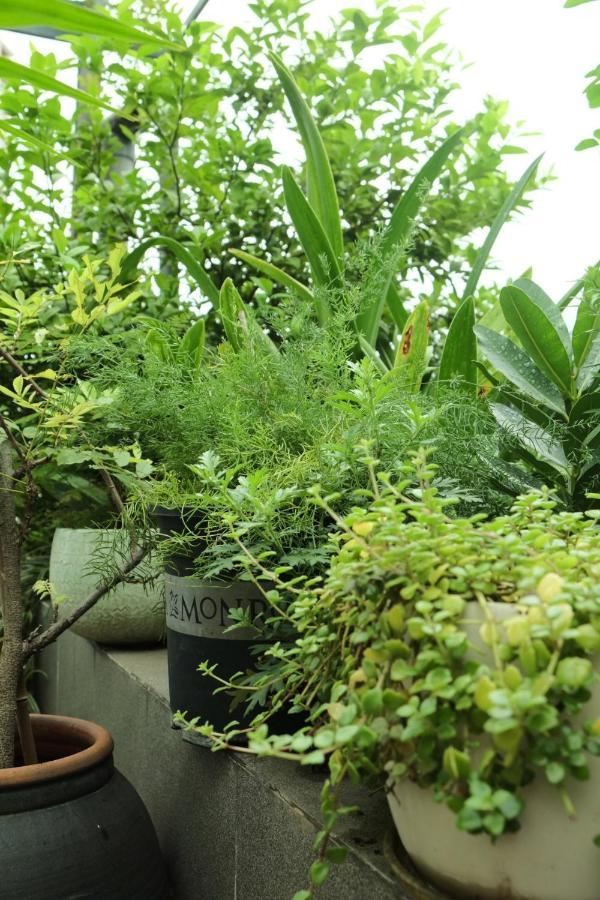 Auntie Lien'S Homestay Hanoi Luaran gambar